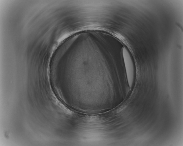 X0000103141334200809121745