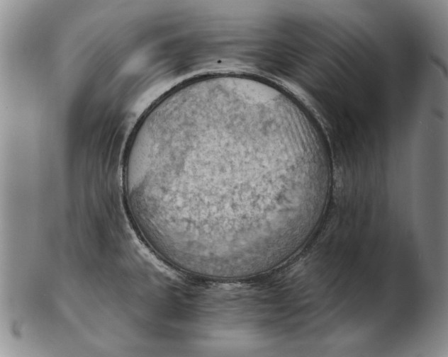 X0000103141335200809121745