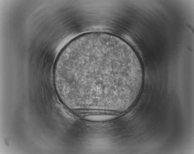 X0000103141336200809121745