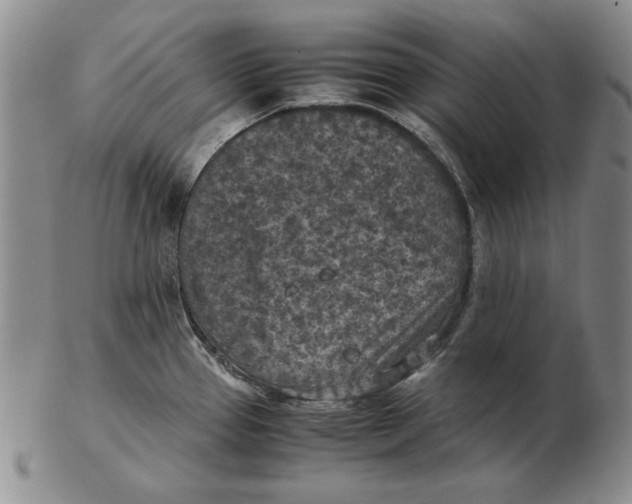 X0000103141337200809121745