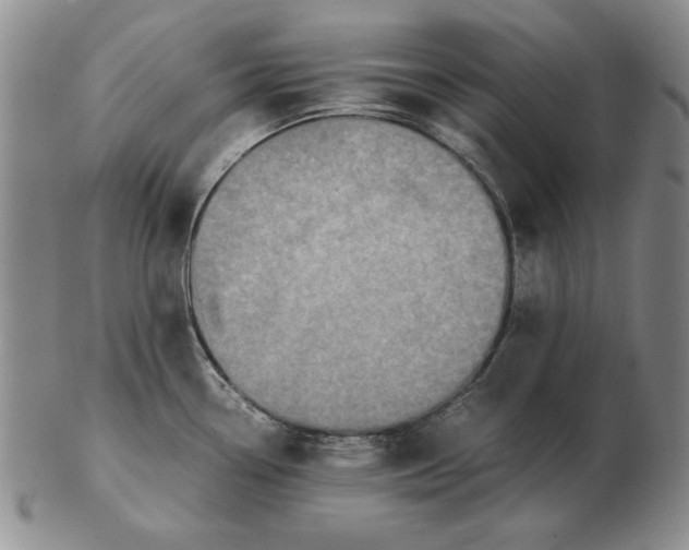 X0000103141338200809121745