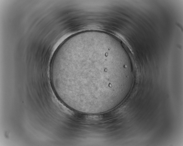 X0000103141339200809121745