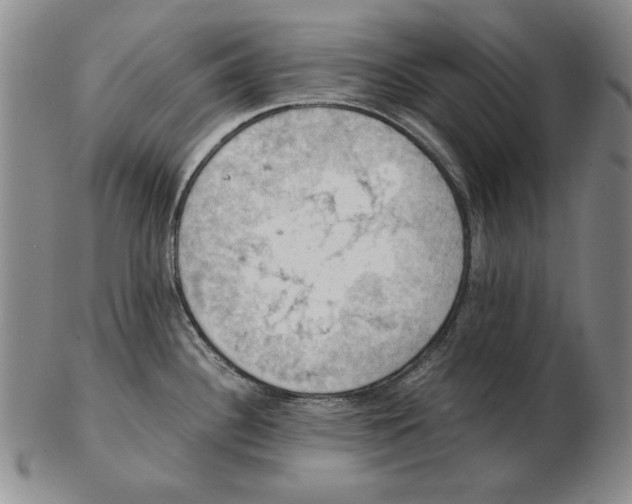 X0000103141340200809121745