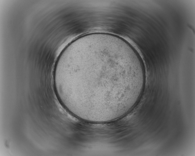 X0000103141341200809121745