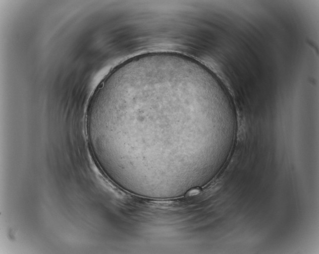 X0000103141342200809121745