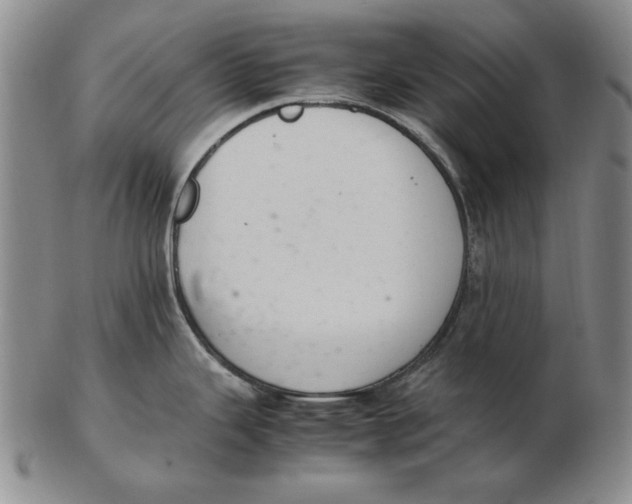 X0000103141343200809121745