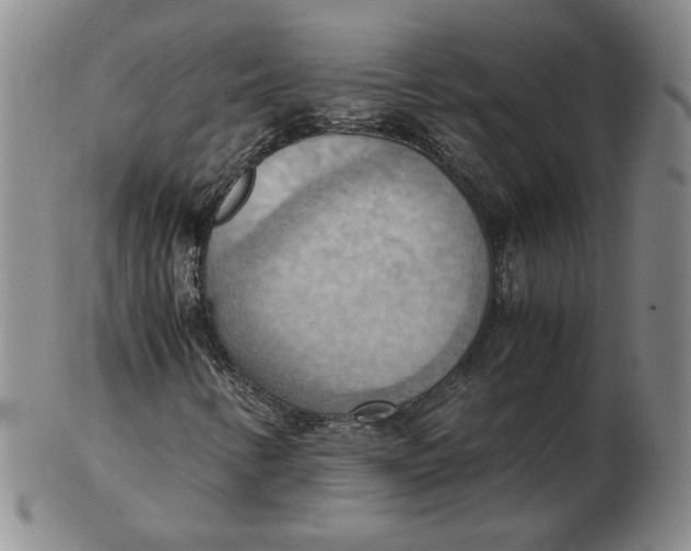 X0000103141346200809121745