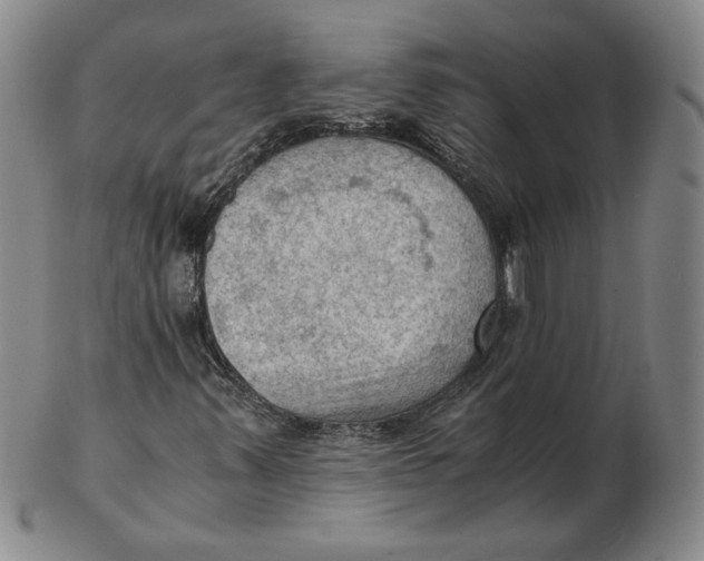 X0000103141347200809121745