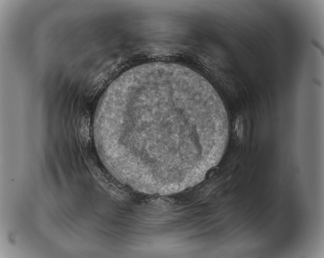 X0000103141348200809121745