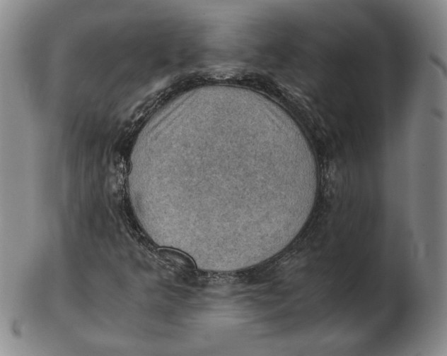 X0000103141349200809121745