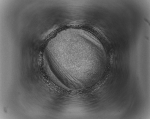 X0000103141350200809121745