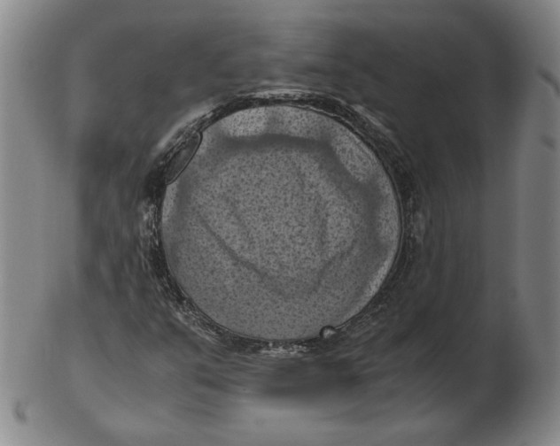 X0000103141351200809121745