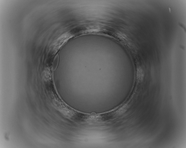 X0000103141353200809121745