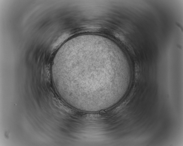 X0000103141354200809121745