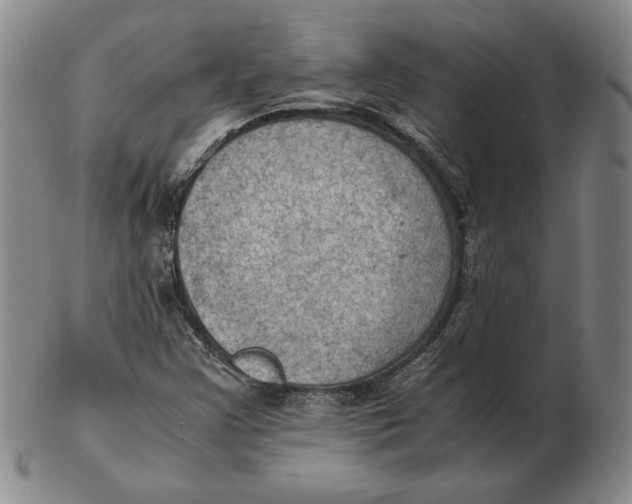 X0000103141355200809121744