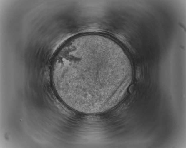 X0000103141356200809121744