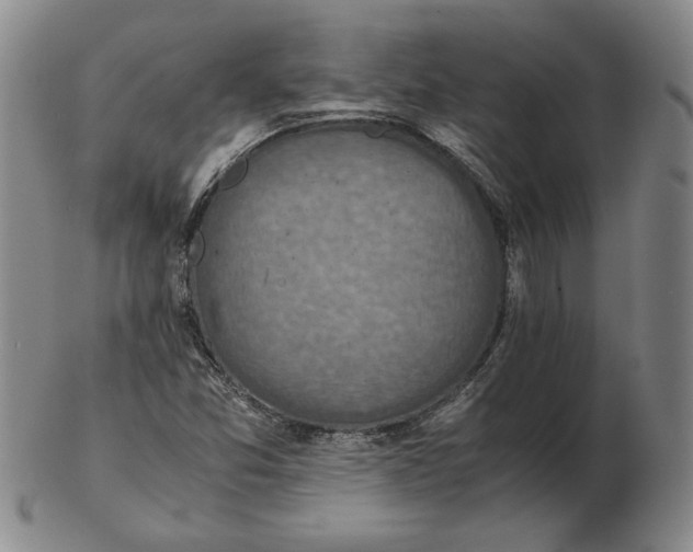 X0000103141357200809121744