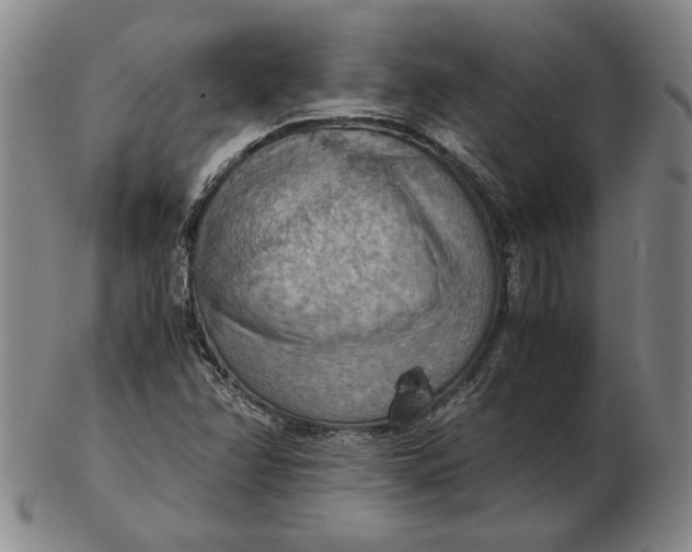 X0000103141358200809121744