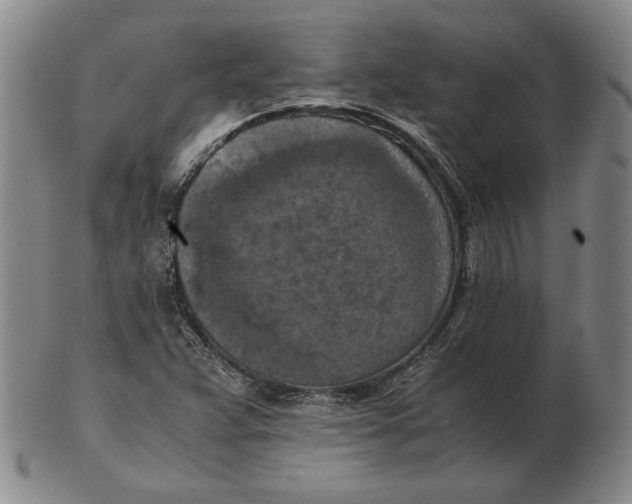 X0000103141359200809121744