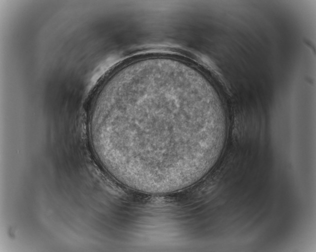 X0000103141360200809121744