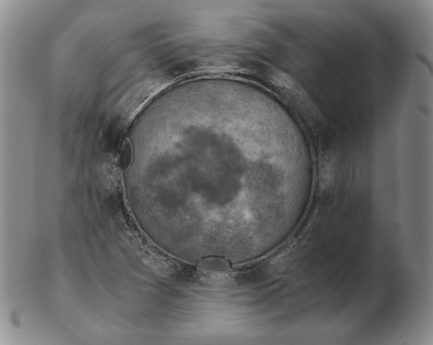 X0000103141361200809121744