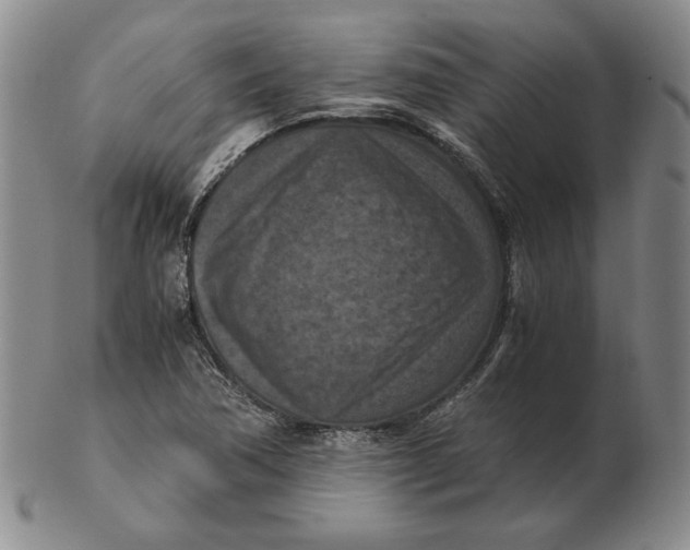 X0000103141362200809121744