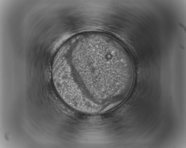 X0000103141363200809121744