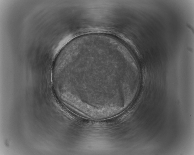 X0000103141365200809121744