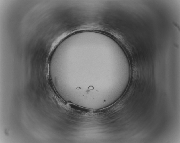 X0000103141366200809121744