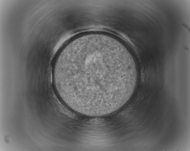 X0000103141368200809121744