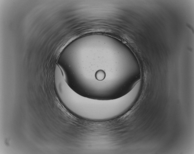 X0000103141369200809121744