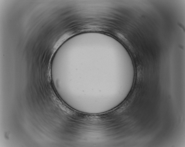 X0000103141370200809121744