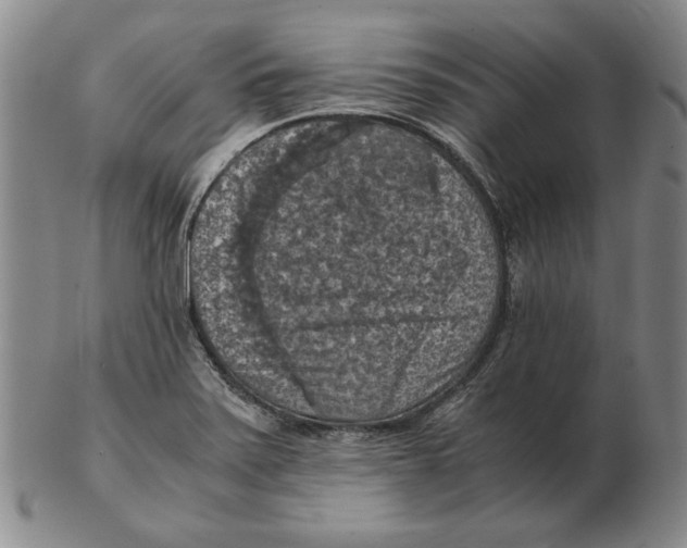 X0000103141371200809121744