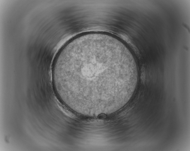 X0000103141372200809121744