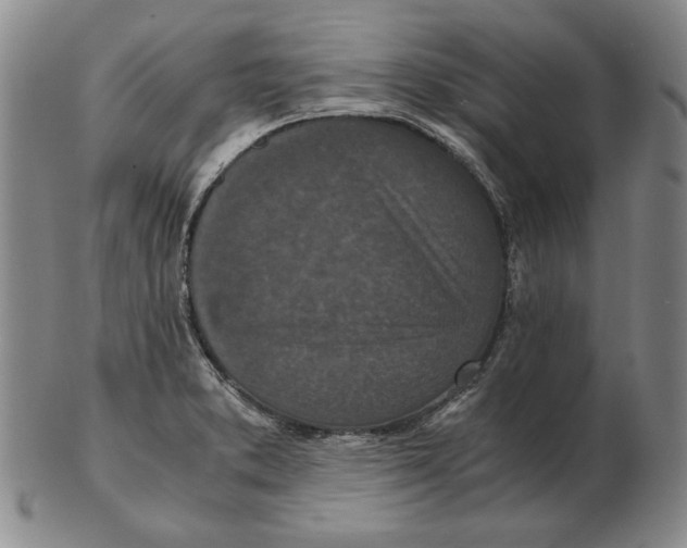 X0000103141373200809121744