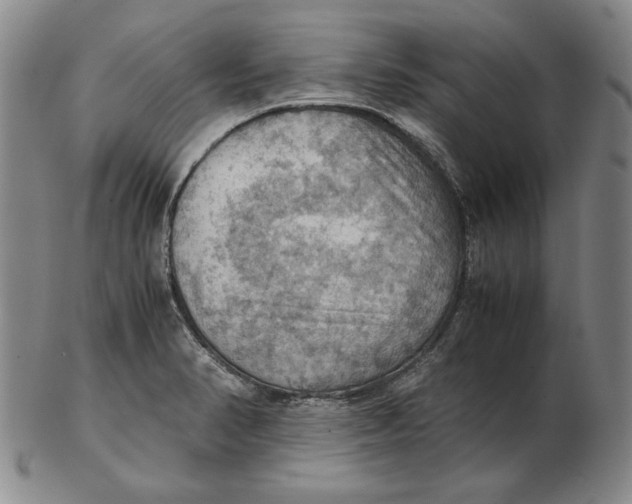 X0000103141374200809121744