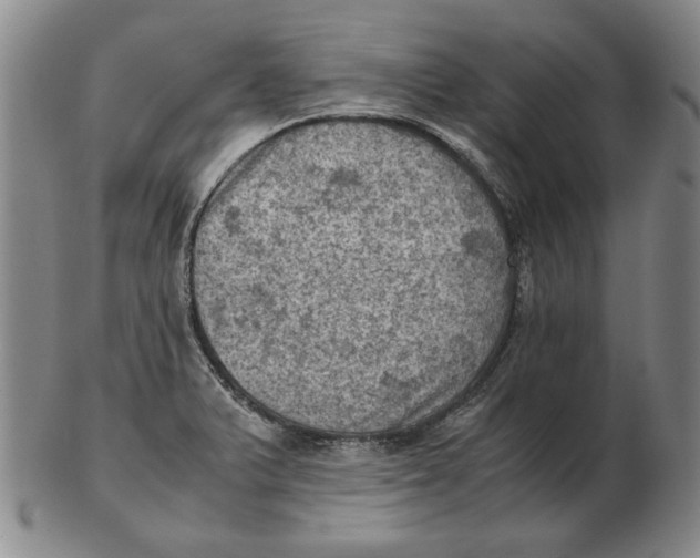 X0000103141375200809121744