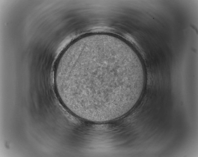 X0000103141376200809121744