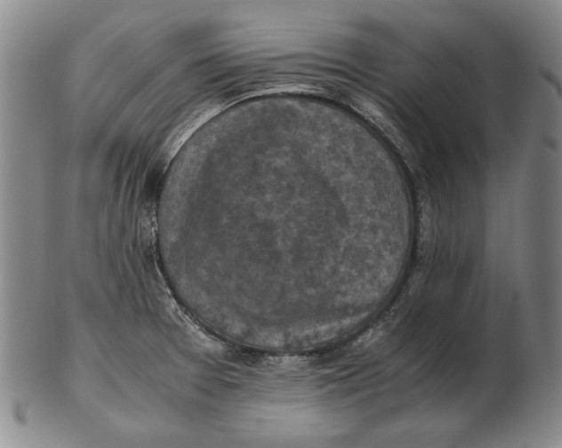 X0000103141377200809121744