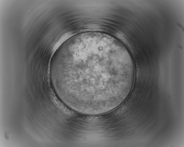 X0000103141378200809121744