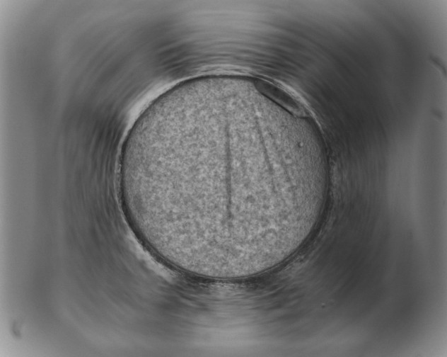 X0000103141379200809121744