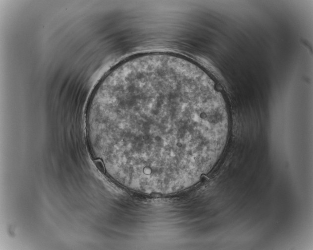 X0000103141380200809121744