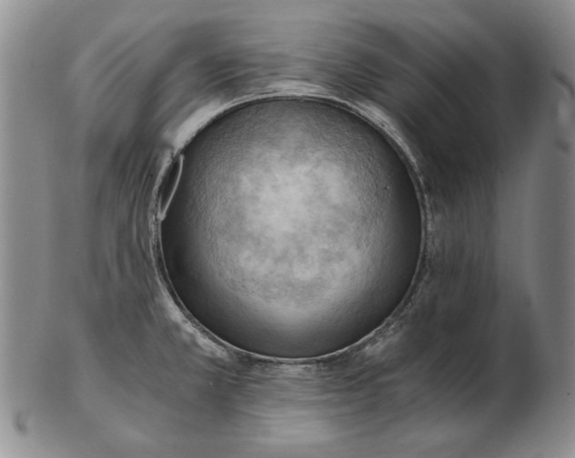 X0000103141381200809121744