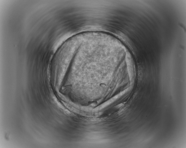 X0000103141382200809121744