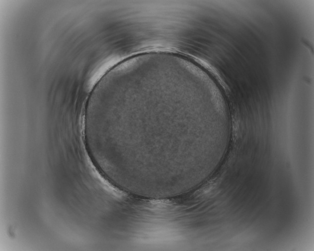 X0000103141383200809121744