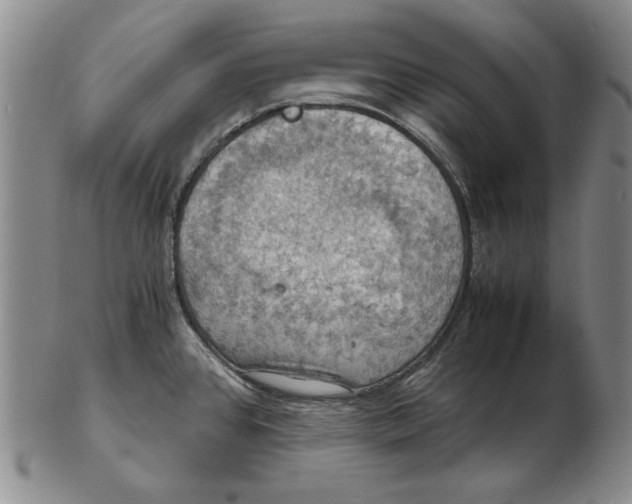 X0000103141384200809121744