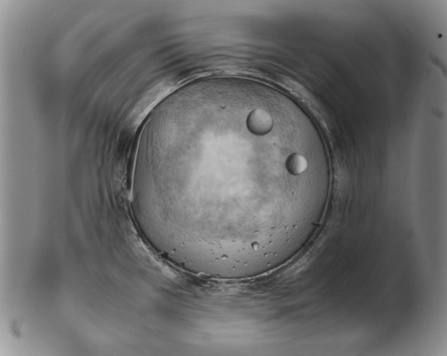 X0000103141385200809121744