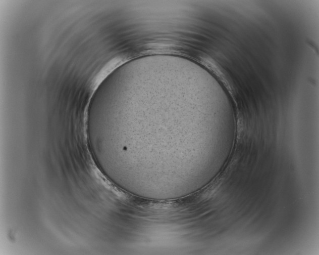 X0000103141386200809121744