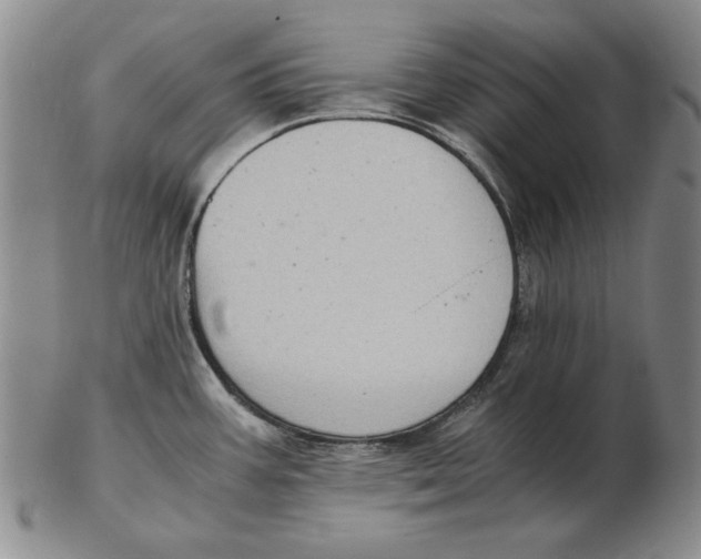 X0000103141387200809121744