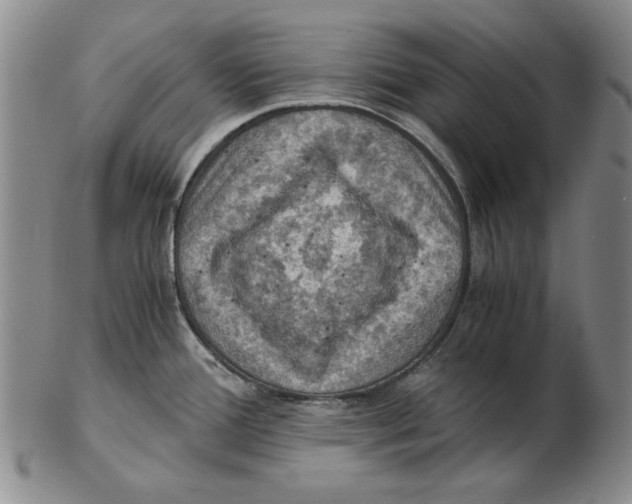 X0000103141388200809121744